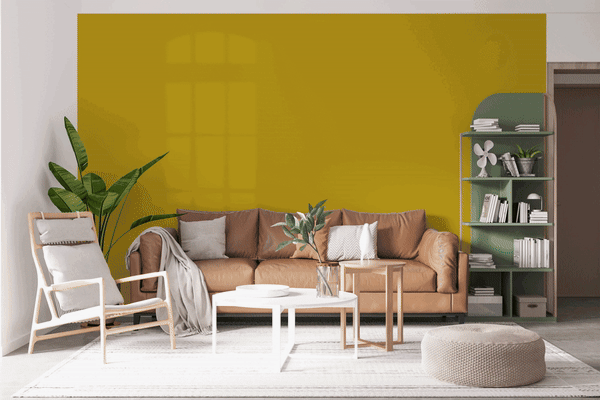 দেওয়াল পেইন্টিং সার্ভিস