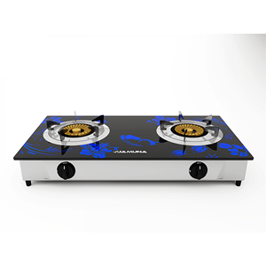 গ্যাস চুলা মেরামত