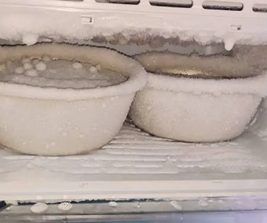 ফ্রিজে বেশি বরফ জমা সমস্যার সমাধান