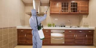 রান্নাঘরের ক্যাবিনেটে উইপোকা চিকিৎসা