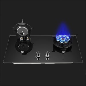 গ্যাস চুলা চেঞ্জ করবে