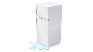 ফ্রিজের পানি লিকেজ সমাধান