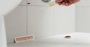 তেলাপোকা স্প্রে চিকিৎসা (বাথরুম)