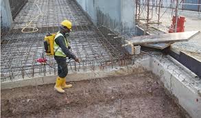 নির্মাণ-পূর্ববর্তী উইপোকা-বিরোধী (মৌলিক)