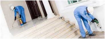 মেঝের পরিধির চিকিৎসা (মৌলিক)