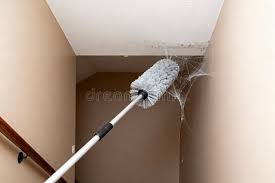 সিলিং/কোবওয়েব পরিষ্কার